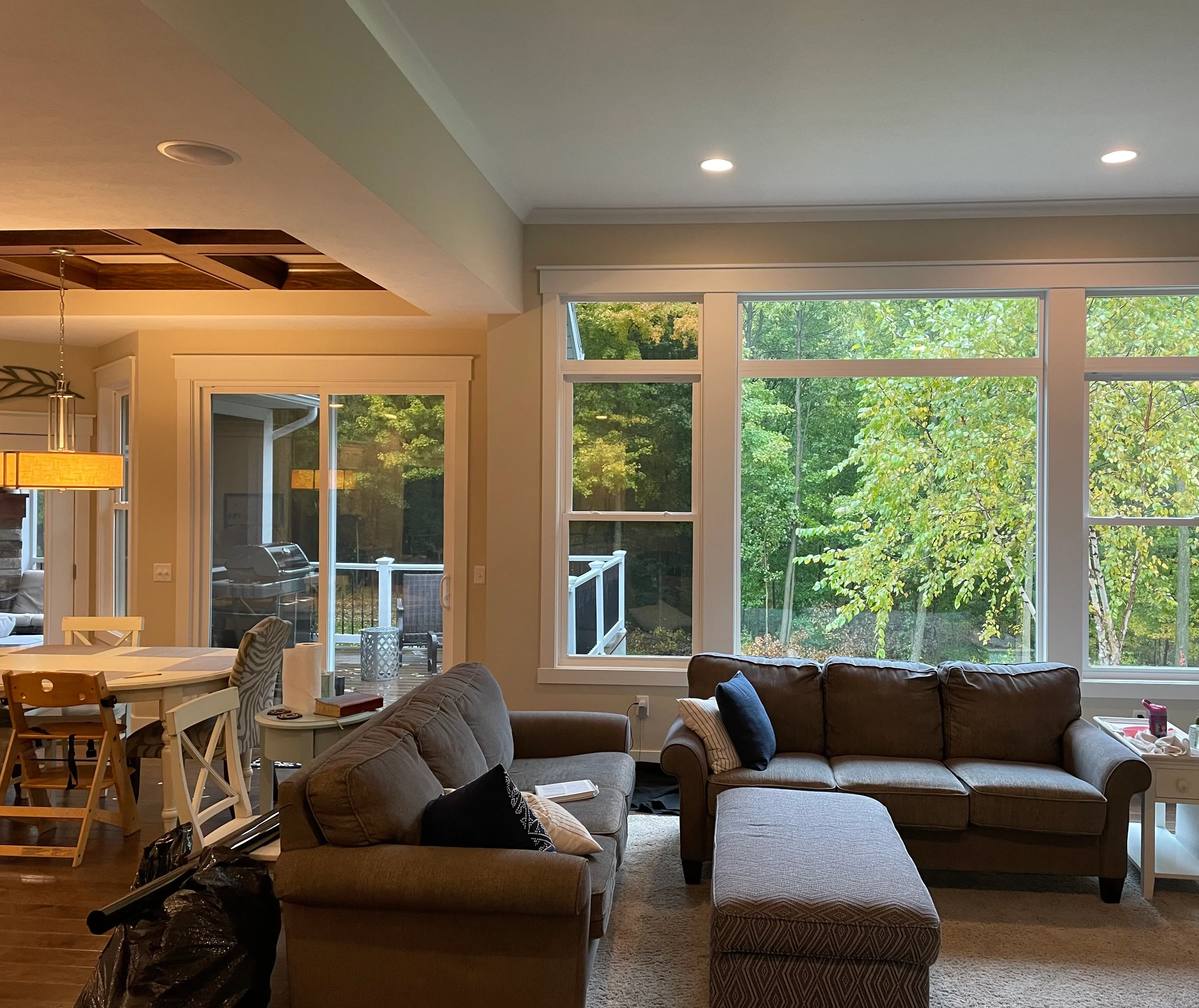 Large residential windows with clear glass and white trim overlooking wooded landscape